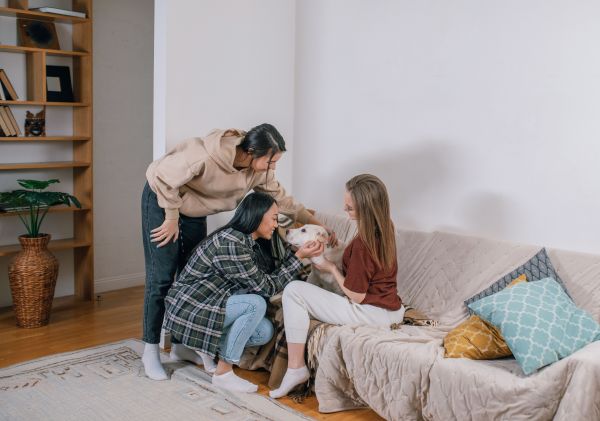 Comment socialiser son chien avec les humains et autres animaux ?